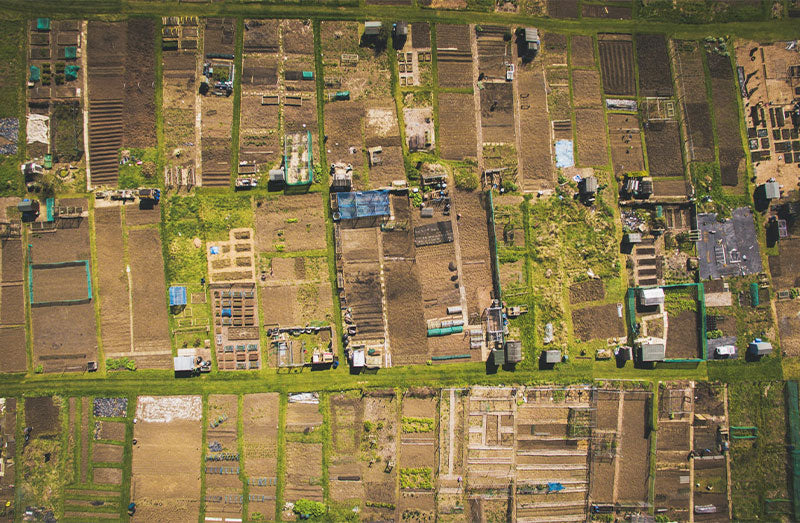 How are allotments beneficial?