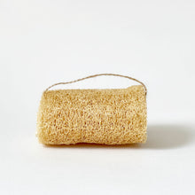 Load image into Gallery viewer, huski home eco friendly natural loofa sponge, coconut scrubber, and biodegradable coconut wood bottle brush
